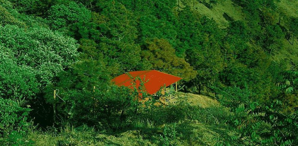 Aamod Resort Shimla Eksteriør billede