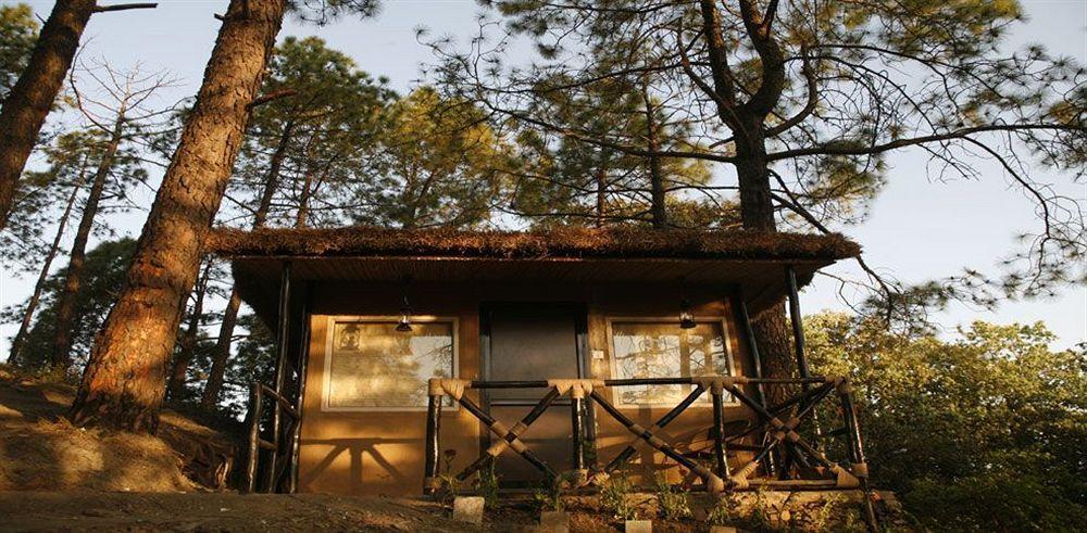 Aamod Resort Shimla Eksteriør billede
