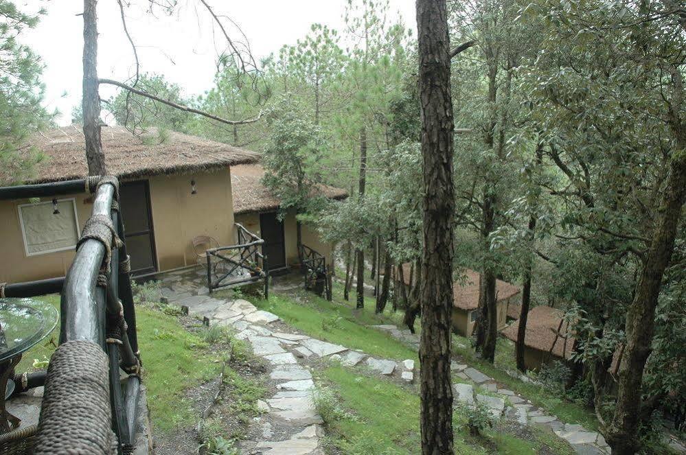 Aamod Resort Shimla Eksteriør billede