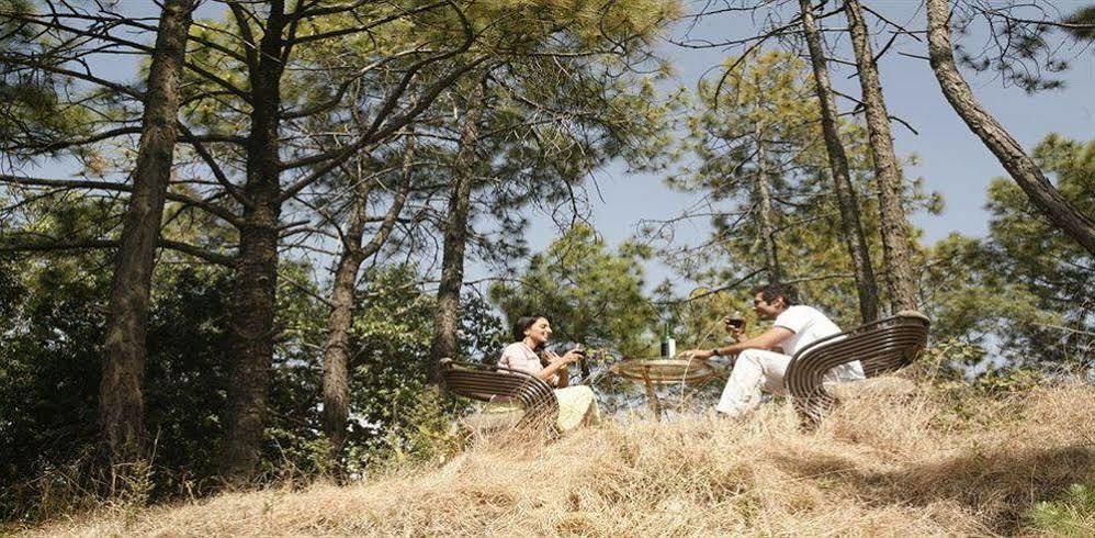 Aamod Resort Shimla Eksteriør billede