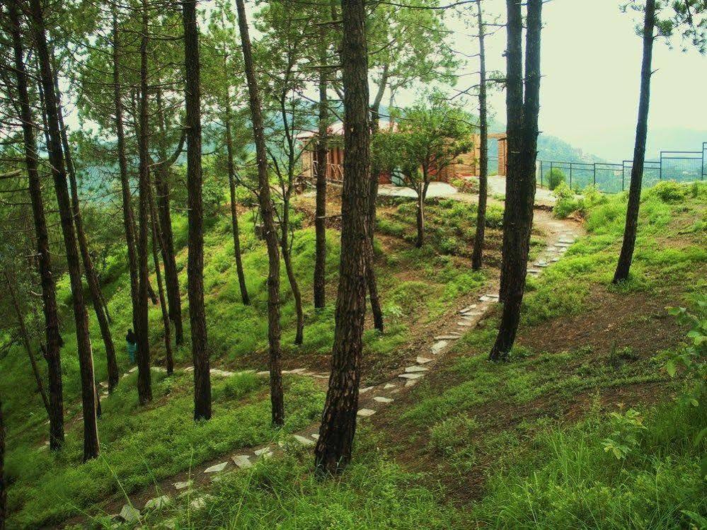 Aamod Resort Shimla Eksteriør billede