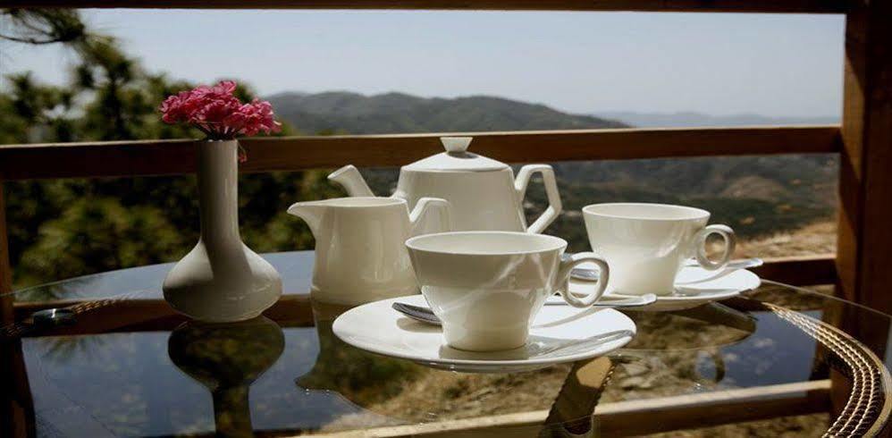 Aamod Resort Shimla Eksteriør billede